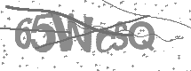 visual captcha